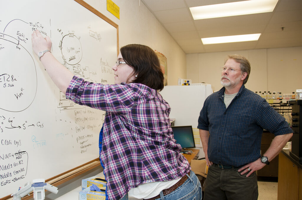 Aubree Hancoop works with MSU-B associate professor Tom Lewis on biochemical research. (courtesy photo)